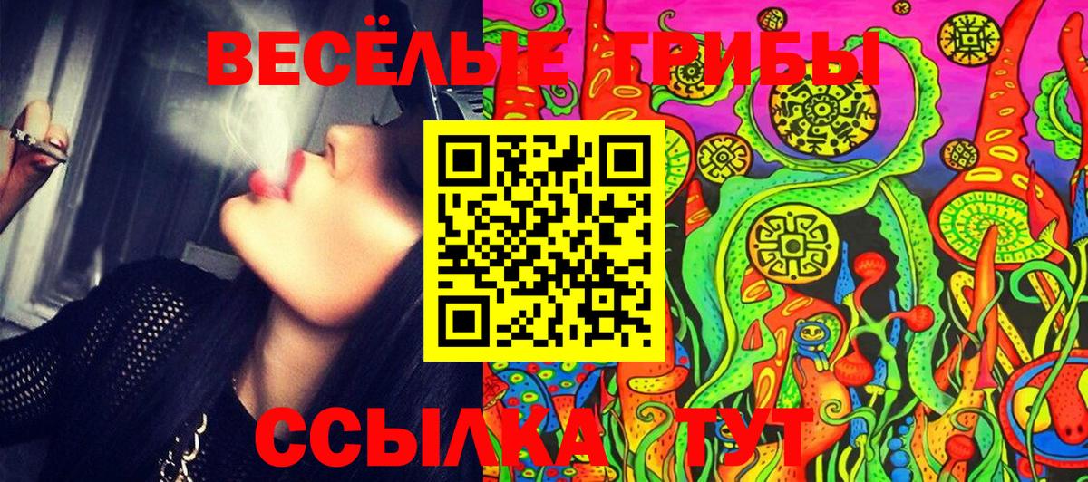 Галлюциногенные грибы MAGIC MUSHROOMS  Вход с VPN  Псилоцибиновые грибы Psilocybe  Ейск 