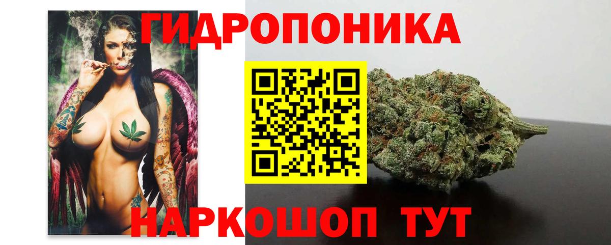 Канабис OG Kush Ейск